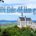 Di duc de lam gi?