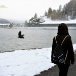 tam su aupair phap