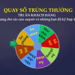 Banh xe so nha Global Vietnam Aupair